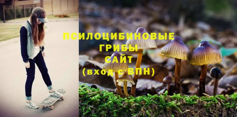 Галлюциногенные грибы Magic Shrooms  Алдан 